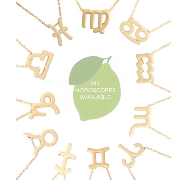 Scorpio Pendant Necklace Gold Horoscope Zodiac Necklace - Picture 5 of 7